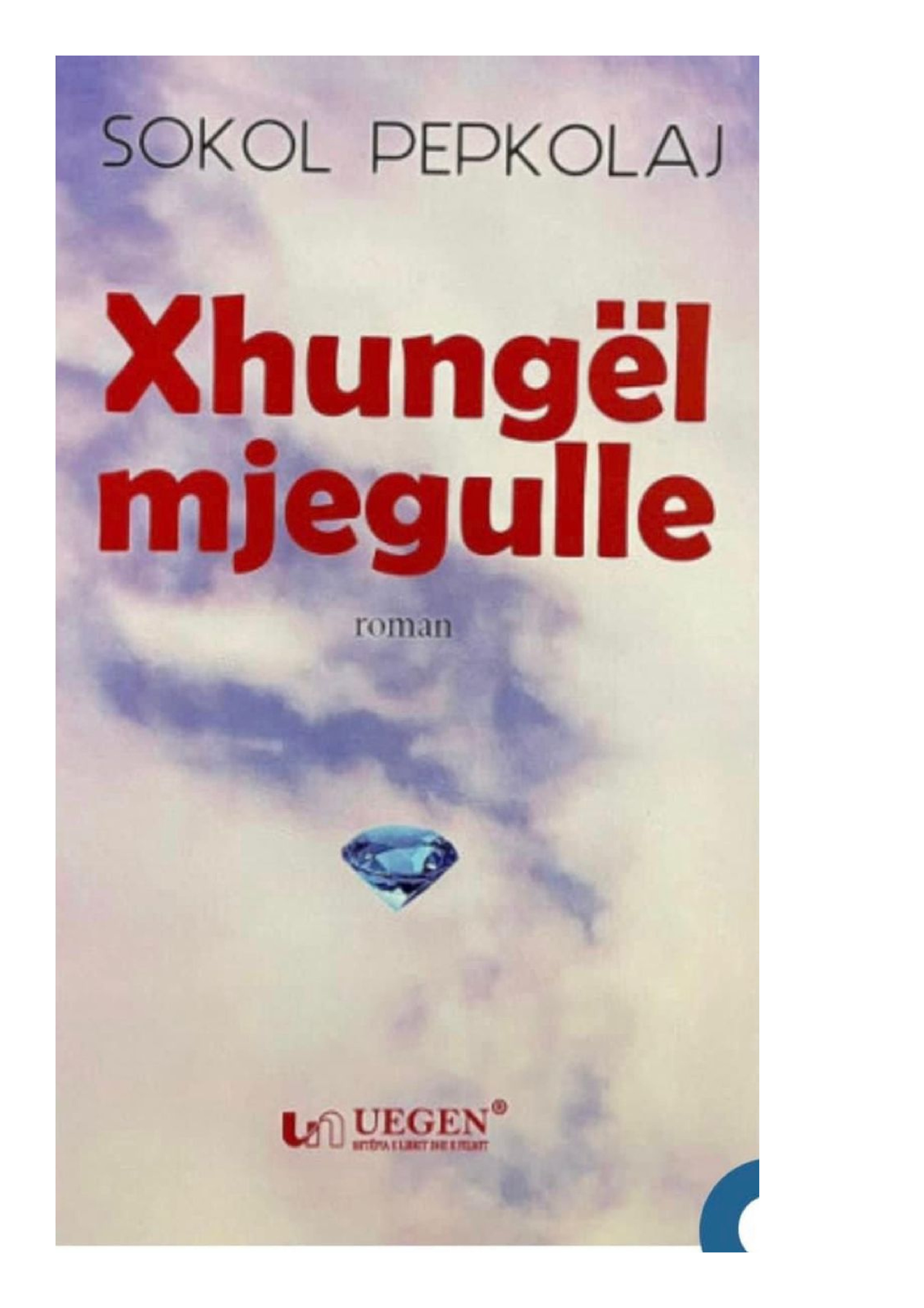 Kopertina e librit Xhungel Mjegulle