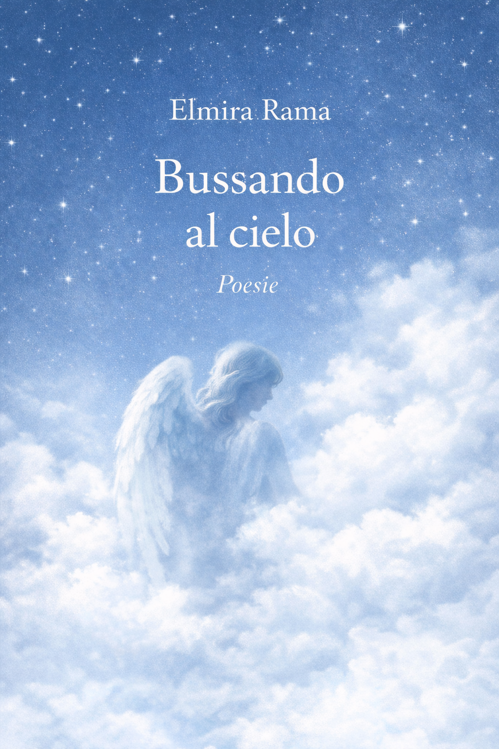 Kopertina e librit Bussando al cielo 