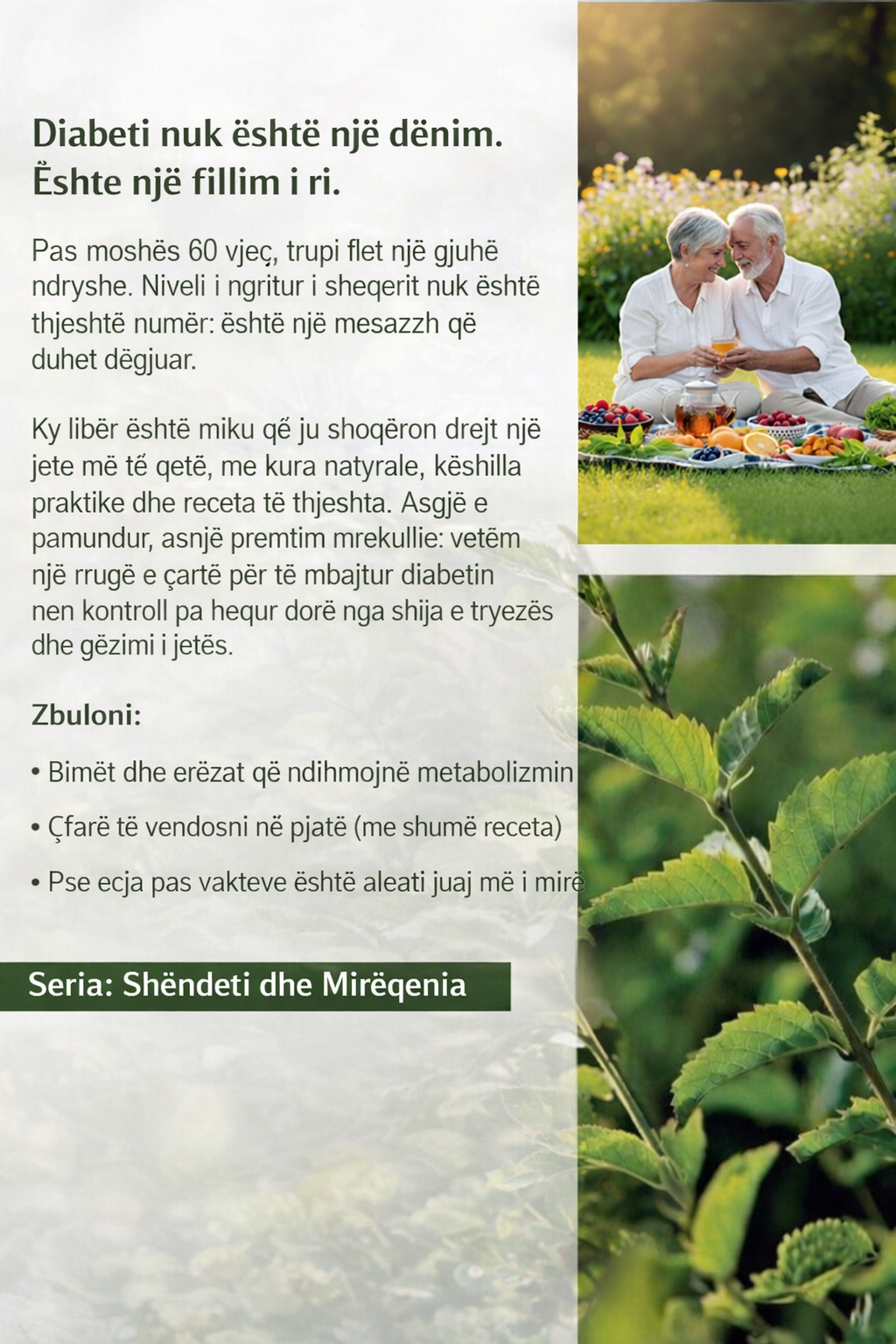 Kopertina e librit Diabeti tip 2 nën kontroll: Udhëzues i plotë për menaxhim natyral, ushqim dhe stil jete të shëndetshëm